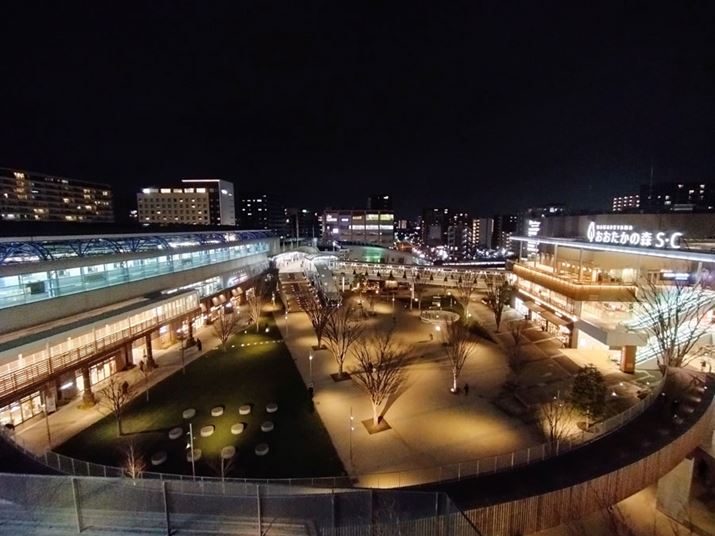 Ɠ\}𒴍LpJŎBeB nCCg̔т͂̂قȂBLpJɂzCgoX̕s肳ꂽ