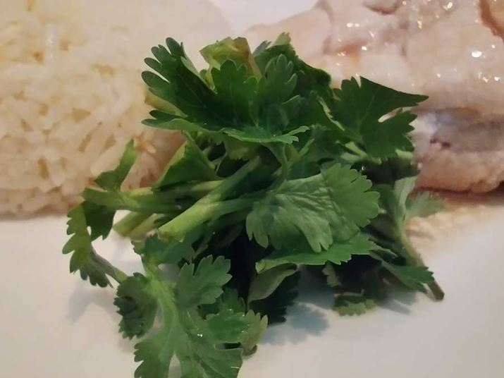 pN`[}NJŎBeB200fƏȂ߂AfBe[c}NBe炵͊y߂B邢Ƃ͌ȂV[Au͌Ȃ