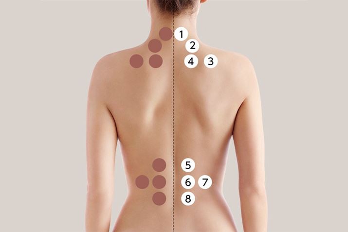 ⍘ɎgƂ܂Ƃ߂Ă邪ARR\ʒuɂāui1jVvui2j`vui3jvui4jO`vui5jOř`vui6jt`vui7juvui8j咰`vȂǁAڃAv[`銳ł