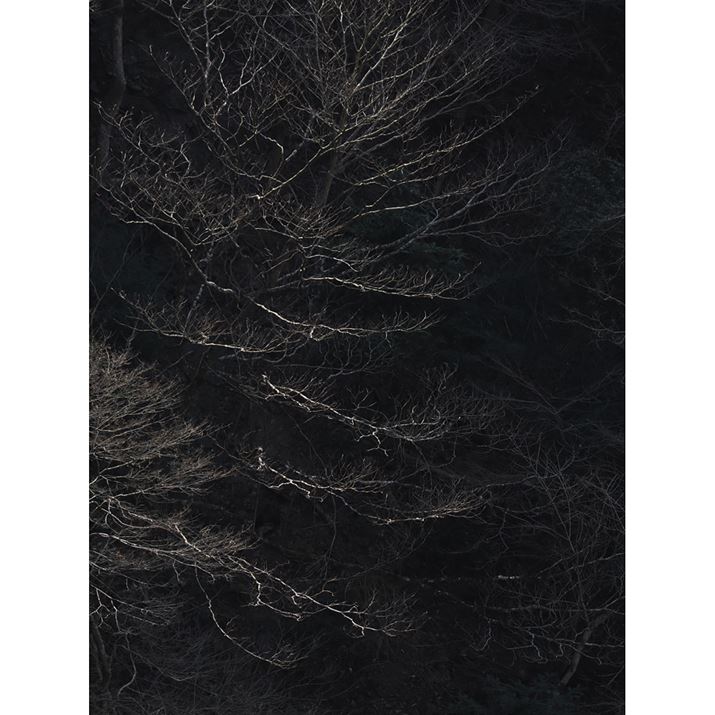 OM-1AM.ZUIKO DIGITAL ED 40-150mm F4.0 PROA150mmi35mmZ300mmjAF7.1A1/250bAISO200AzCgoXFI[gAsN`[[hFNaturalAVF[fBO␳FItAxmCYጸFWAJPEGBeʐ^i3888×5184A11.3MBj