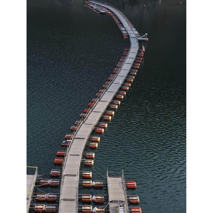 OM-1AM.ZUIKO DIGITAL ED 40-150mm F4.0 PROA40mmi35mmZ80mmjAF8A1/80bAISO200AzCgoXFI[gAsN`[[hFNaturalAVF[fBO␳FIAxmCYጸFWAJPEGBeʐ^i3888×5184A14.1MBj