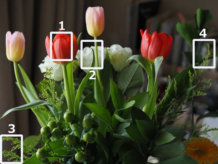 gi1`4jȉɌfڂ؂oBsgMFŐ؂o1̕ɍ킹BBe͖80cm