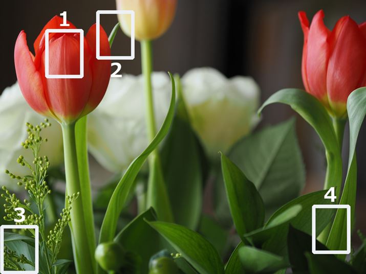 gi1`3jȉɌfڂ؂oBsgMFŐ؂o1̕ɍ킹BBe͖120cm