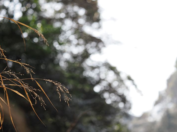 OM-1AM.ZUIKO DIGITAL ED 40-150mm F4.0 PROA72mmi35mmZ144mmjAF4A1/320bAISO200AzCgoXFI[gAsN`[[hFNaturalAVF[fBO␳FIAxmCYጸFWAJPEGBeʐ^i5184×3888A8.1MBj