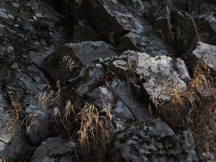 OM-1AM.ZUIKO DIGITAL ED 40-150mm F4.0 PROA40mmi35mmZ80mmjAF6.3A1/200bAISO200AzCgoXFI[gAsN`[[hFNaturalAVF[fBO␳FItAxmCYጸFWAJPEGBeʐ^i5184×3888A13.2MBj