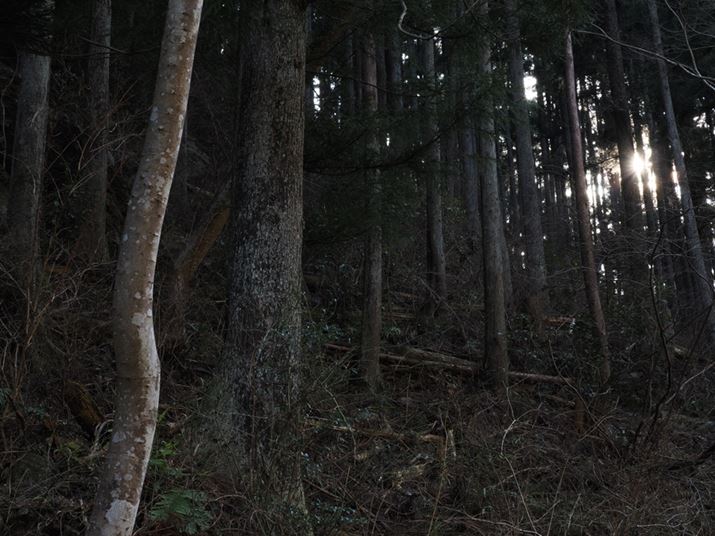 OM-1AM.ZUIKO DIGITAL ED 40-150mm F4.0 PROA40mmi35mmZ80mmjAF14A1/13bAISO200AzCgoXFI[gAsN`[[hFNaturalAVF[fBO␳FItAxmCYጸFWAJPEGBeʐ^i5184×3888A13.1MBj