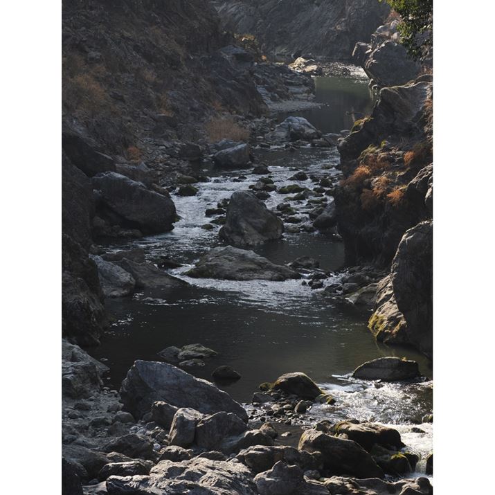 OM-1AM.ZUIKO DIGITAL ED 40-150mm F4.0 PROA72mmi35mmZ144mmjAF8A1/160bAISO200AzCgoXFI[gAsN`[[hFNaturalAVF[fBO␳FItAxmCYጸFWAJPEGBeʐ^i3888×5184A13.6MBj