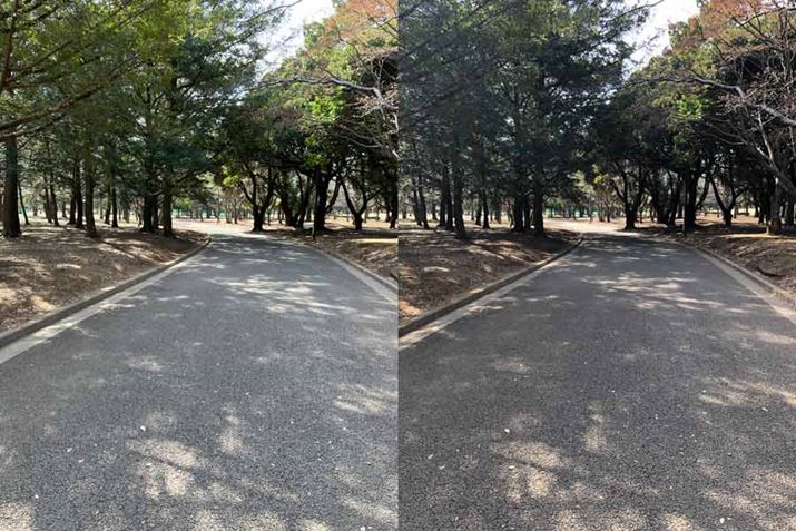 iPhone SEi3jAEiPhone 8Bt̃V`G[VAtς̐FSRႤ̂킩B5N̐iʐ^