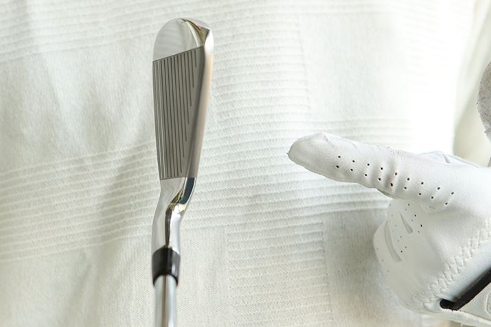 ~XɋîɁA{lD݂̃CPI