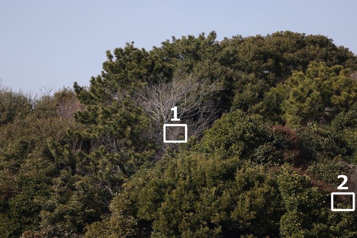 gi1`2jȉɌfڂ؂oBsgAFiX|bg1_AFjŉ摜i؂̊jɍ킹BBe͖100m