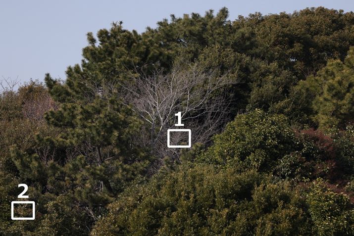 gi1`2jȉɌfڂ؂oBsgAFiX|bg1_AFjŉ摜i؂̊jɍ킹BBe͖150m