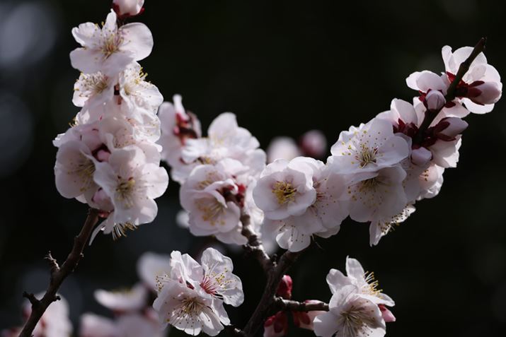 EOS R5ARF100-400mm F5.6-8 IS USMA347mmAF8A1/200bAISO100AzCgoXFI[gi͋CDjAsN`[X^CFX^_[hAI[gCeBOIveB}CUFWAJPEGBeʐ^i8192×5464A8.1MBj