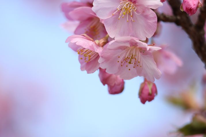 EOS R5ARF100-400mm F5.6-8 IS USMA400mmAF8A1/125bAISO400AzCgoXFzAsN`[X^CFX^_[hAI[gCeBOIveB}CUFȂAJPEGBeʐ^i8192×5464A9.2MBj