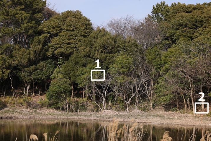 gi1`2jȉɌfڂ؂oBsgAFiX|bg1_AFjŉ摜i؂̊jɍ킹BBe͖50m