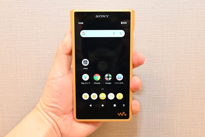 {̃fUĈATCY͑傫Ȃ̂́AƎɂȂł