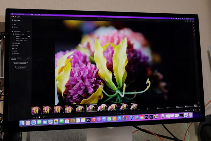 Lightroomł̎ʐ^̌TNTNBS̎ʐ^uɕ\łAʐ^IX[Yɍs