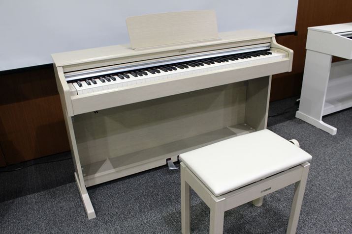 ʃfYDP-165́A2022N427̔\肵ĂAi̓I[v127,000~Oł̎\z