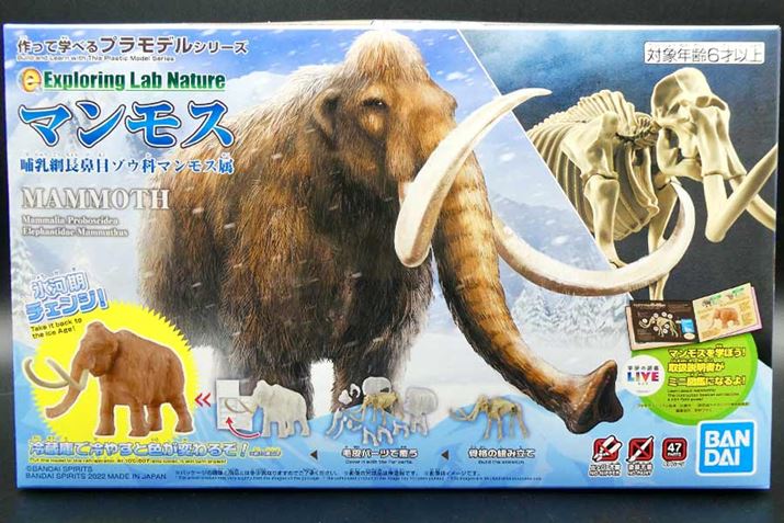 F񂪑zĂʂ́A̕X͊𐶂}X̃vł