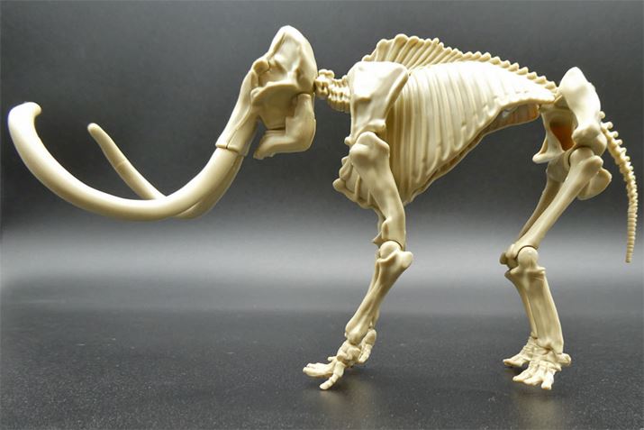 }X̍iԊłB傫傪IłˁBOA둫͊֐ߕő܂A܂傫͓܂