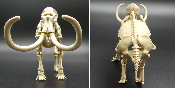 ̒傪Ă肵Ď܂Bw⍜ՁAK܂łĂ˂ɍČĂ܂