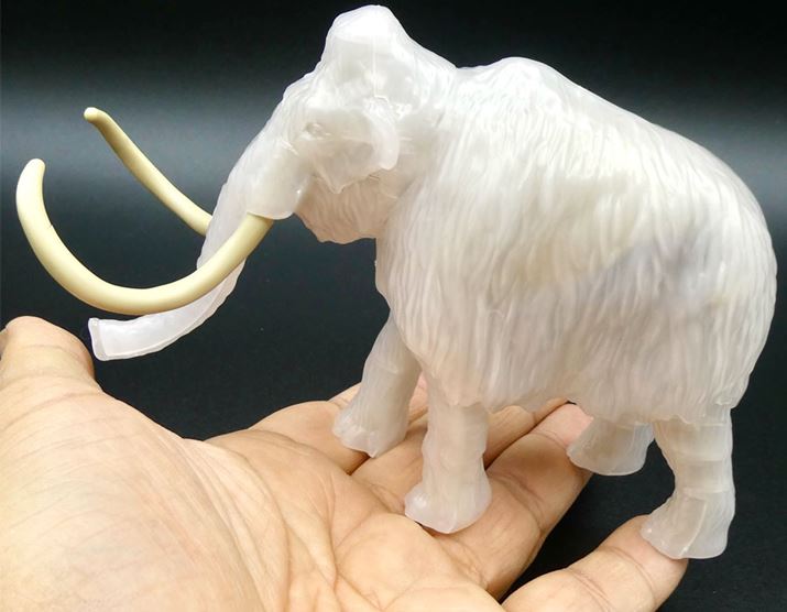 TCY͂ꂭ炢łBق̂荜iČ܂