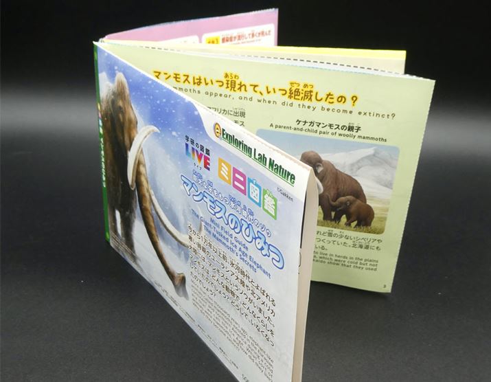 戵؂Đ܂肽ނƃ~j}ӂɂȂ܂BmςfڂĂ܂