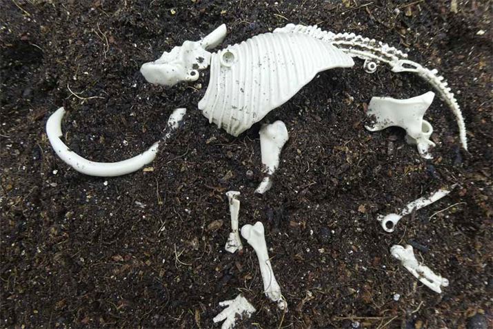 ip[cyɖ߂Ă݂ƁA@݂̌ȗVтł܂