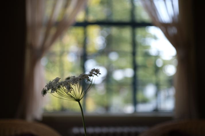 X-T4AXF23mmF1.4 R LM WRA23mmi35mmZ35mmjAF1.4A1/600bAISO160AzCgoXFI[gAtBV~[VFPROVIA/X^_[hA_Ci~bNWF100AJPEGBeʐ^i6240×4160A10.3MBj