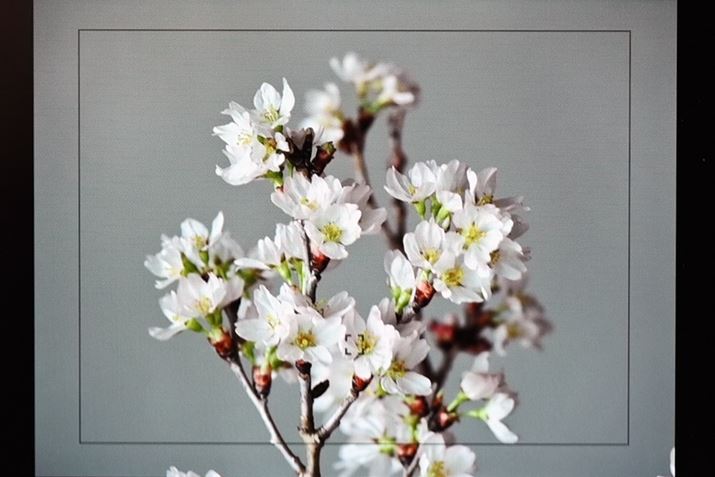 摜͏㉺EЂƉJbgꂽi̎ʐ^7g傳ꂽj摜ɂȂBBeʂɂ́ÃGA킩鍕g̃KCh\