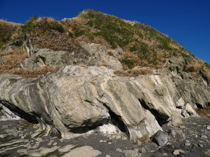 u莝nC]vgĎBeBOM-1AM.ZUIKO DIGITAL ED 12-100mm F4.0 IS PROA12mmi35mmZ24mmjAF8A1/1250bAISO200AzCgoXFI[gAsN`[[hFNatural