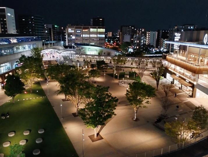 ߂ȖiBeBꌩN₩ȈۂAg傷ƃfBe[ÂȂڂƂʂɂȂĂB܂AzCgoXIo̎FsŁAȍ\}̕ωɉe₷BS߂ɎBeĂق悳