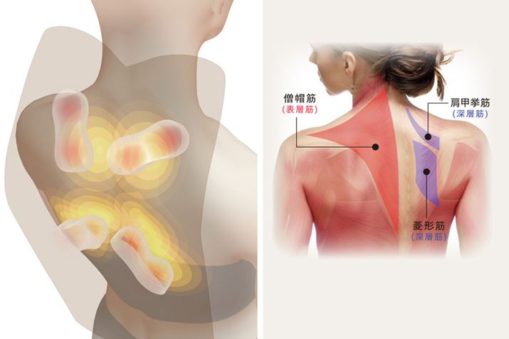 ݋ʂ̓ƁAEw̋ؓ̈ʒu}Bb܂݂قƂł܂Bbق̓Xg[glbNiX}zjɂȂ̂ŁA܂߂ɌpƎp̉P҂łł