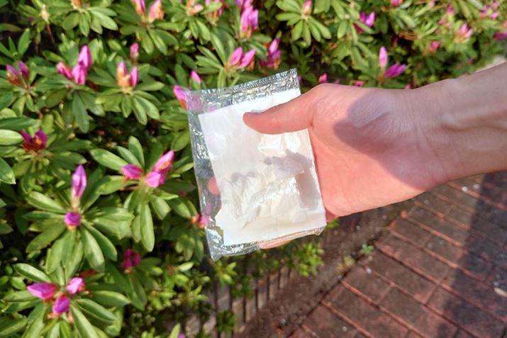 ȕɂЂƂ܂|PbgeBbV̑܂̗ɋlߍŁAǃJo̒ŎU炩Ă܂ƁccƎv܂