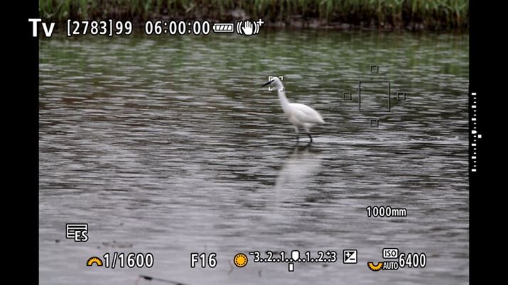 uʑ̒ǔigbLOjvIAʑ̌ouDvAAFGAügAFvAtH[JXuT[{AFvɐݒ肵ĒǔBeĂʁBAFGAïgAFj̘gOłĂvʑ̂oEǔĂiHDMIo͂ŉʂLv`[Ă邽ߎۂ̃j^[fƂ͕\قȂĂ܂j