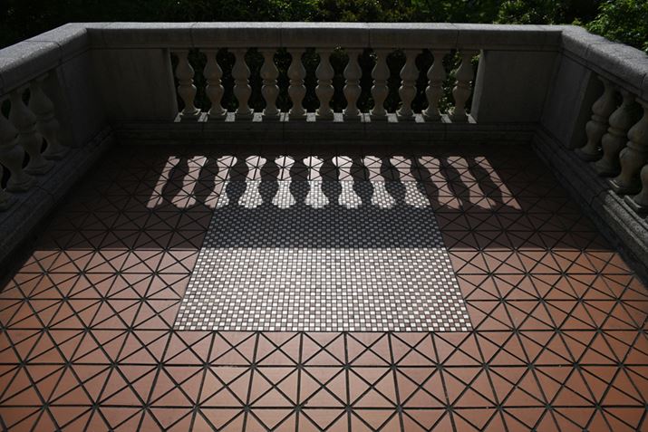 uDistagon T* 25mm F2.8 MM JvgpĎBeBZ 7IIADistagon T* 25mm F2.8 MM Ji}EgA_v^[gpjAF11A1/500bAISO64AWBFI[g1AsN`[Rg[FX^_[hAANeBuD-CeBOFȂAJPEGBeʐ^i8256×5504A22.7MBj