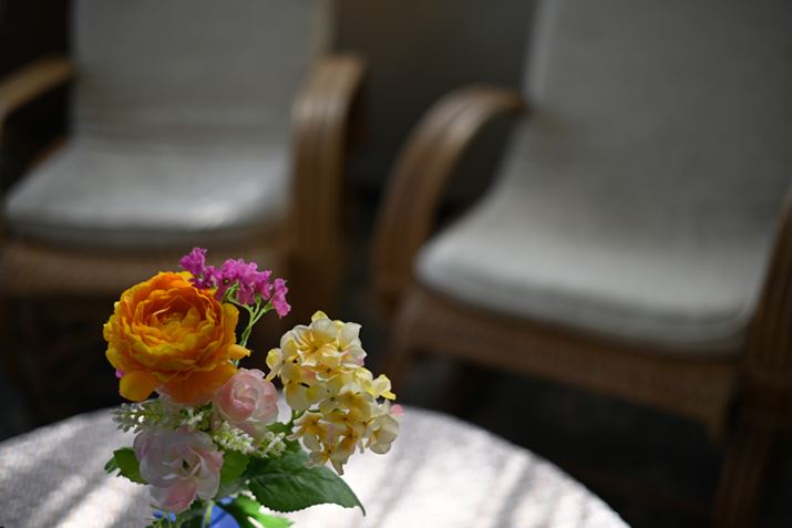 uPlanar T* 2/50 ZMvgpĎBeBZ 7IIAPlanar T* 2/50 ZMi}EgA_v^[gpjAF2A1/320bAISO64AWBFI[g1AsN`[Rg[FX^_[hAANeBuD-CeBOFȂAJPEGBeʐ^i8256×5504A16.8MBj