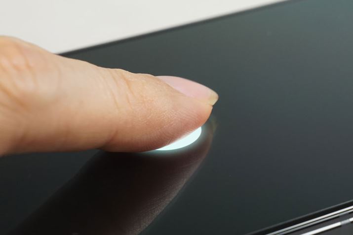 ̔F؂ƂẮAfBXvCwF؂𓋍