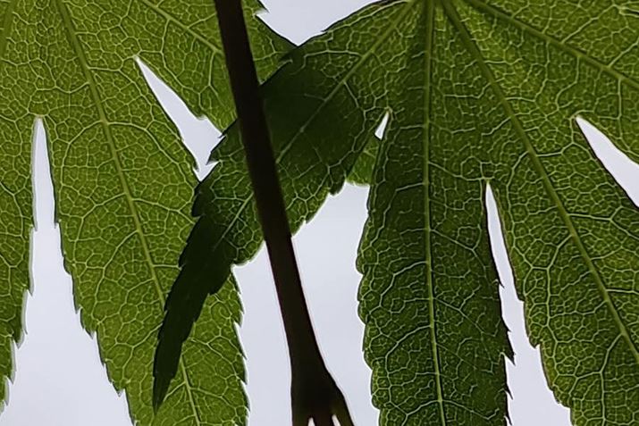 t̃JGfBeA\}𓙔{Ńg~OĂBČtBĂ