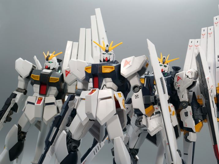 Ȃ͂ǂ̃˃K_D݂ł傤H