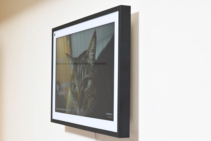 uEcho Show 15v̓OAdlij̉tplŎp኱̂ŁARZg̈ʒułȂAtꏊ̂̂ɂCt