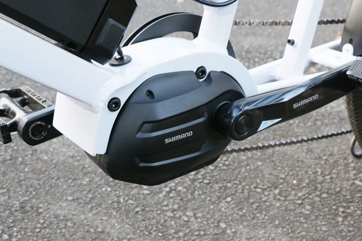 V}m̍ŐVhCujbguE5080hv𓋍ځBőgN40NmƍȂAAVXg̃tB[O̕]͍