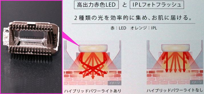 Ǝ˕Ƀ~[𑕔A2ނ̌WBʓILEDɔׁA|Iɋo͂Ă̂