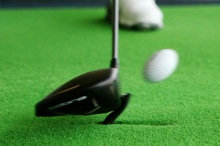 Xs̋eRƑłĂ܂BӖŁAfJwbhۂȂeł