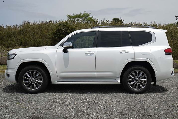 ^200nƓ̑ΒnQpiAv[`AO32°Afp[`[AO26°Avu[NI[o[AO25°jBőn͐\700mm܂