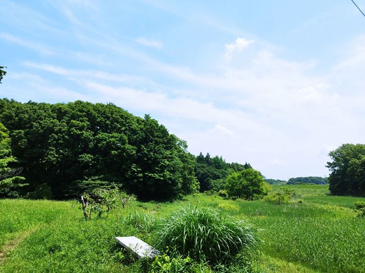 ̕iBeB؂̑N₩قǋĂ炸ArIRȉ掿Bӕ̃mCYȂA\}ׂςĂAF͈肵Ă