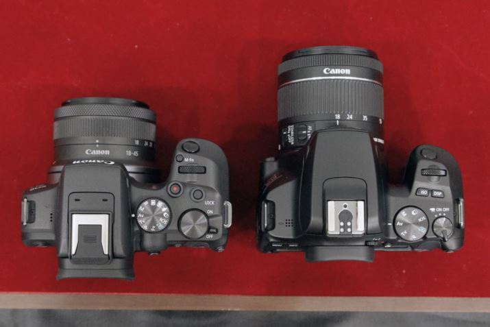 uEOS R10vŁAEuEOS Kiss X10vBuEOS R10v̓t@C_[o`ɂȂĂ