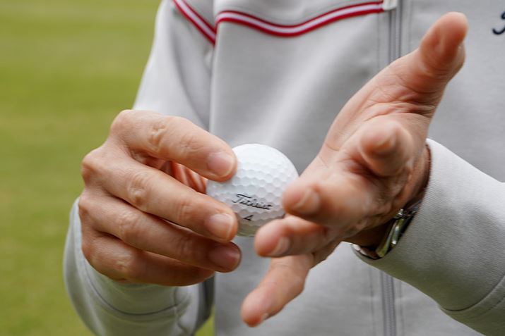 Xŝ郁JjYAʂ͂̕Ă˂ɐĂ̂ŁAƂĂ׋ɂȂ܂