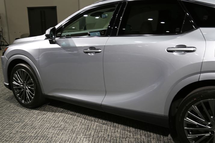 V^uRXṽ{fBTCh́AȂ炩Ȗʍ\ɂĈ܂ƂƂɁAtF_[̐オ肪苭fUCƂȂĂ