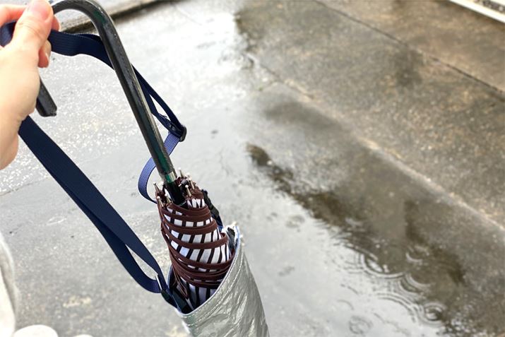 P̏㕔́AuCASAv班ôŁA傫߂̐amP̏ꍇ͂͂ݏoĂ܂܂