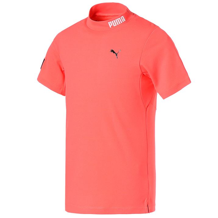 J[́Aʐ^̃zbgR[̂قAubNAu[AzCgp